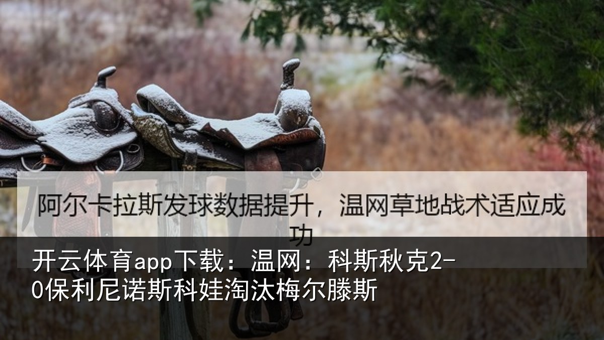 开云体育app下载：温网：科斯秋克2-0保利尼诺斯科娃淘汰梅尔滕斯