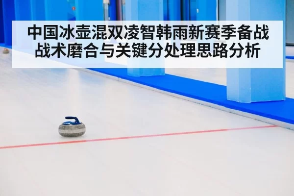 curling stone on ice